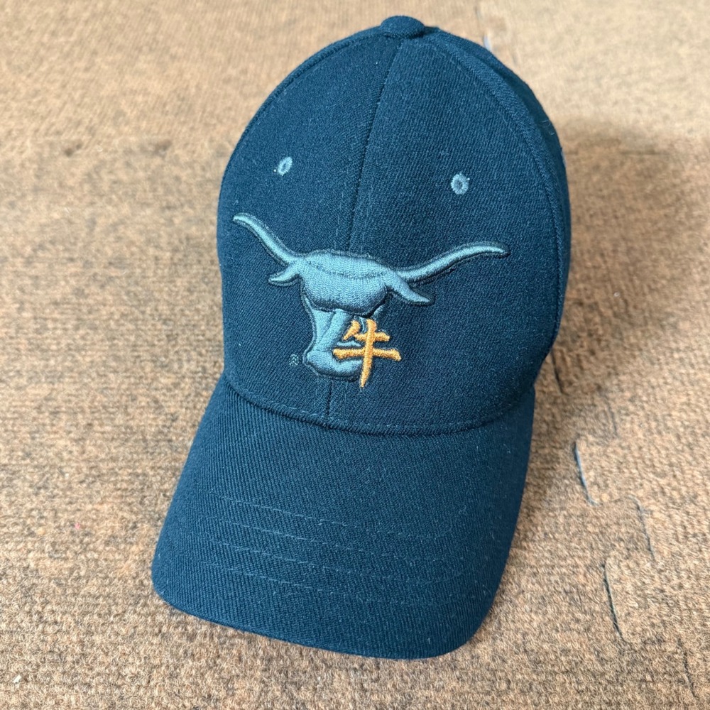 Zephyr Texas Longhorns NCAA Fitted Hat XL Navy Blue Chinese Character Cap Rare‎